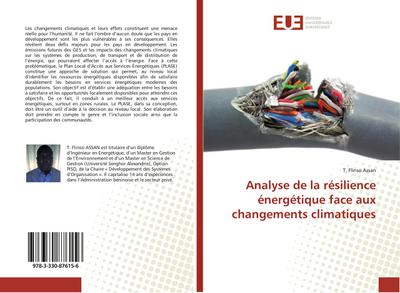 Analyse de la résilience énergétique face aux changements climatiques - T. Flinso Assan