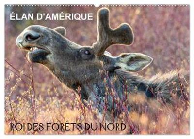 ÉLAN D’AMÉRIQUE - ROI DES FORÊTS DU NORD (Calendrier mural 2026 DIN A2 vertical), CALVENDO calendrier mensuel