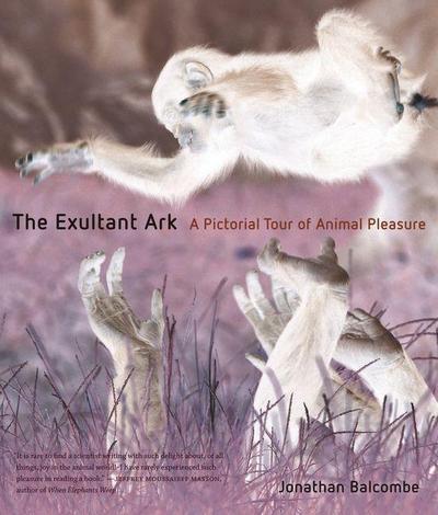 The Exultant Ark