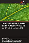 Coltivazione della zucca tinda (Citrullus vulgaris L.) in ambiente salino