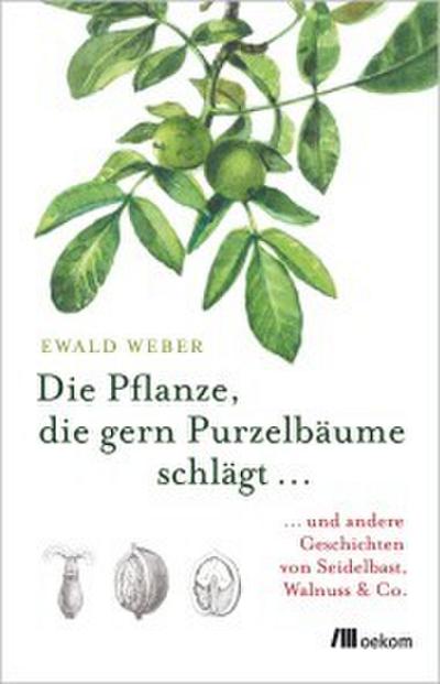 Die Pflanze, die gern Purzelbäume schlägt .