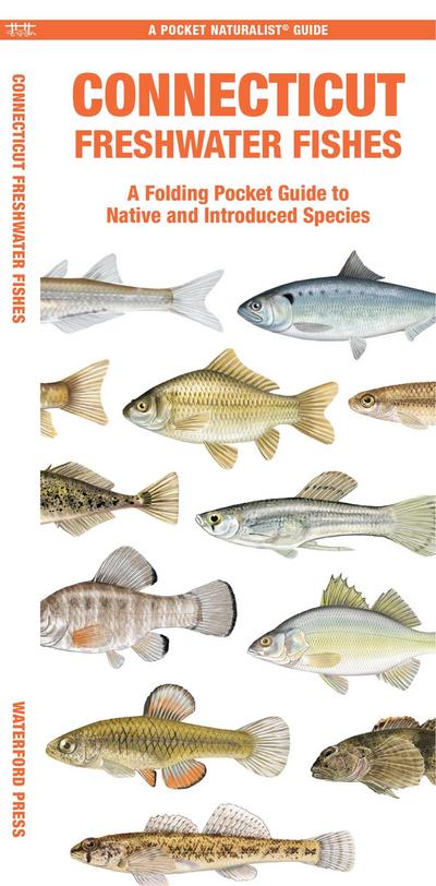 Connecticut Freshwater Fishes