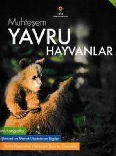 Muhtesem Yavru Hayvanlar