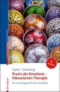 Praxis der Emotionsfokussierten Therapie