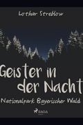 Geister in der Nacht. Nationalpark Bayerischer Wal