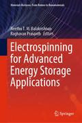 Electrospinning for Advanced Energy Storage Applic