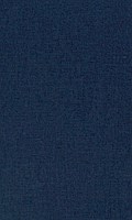 Ocean Optics
