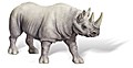 tiptoi® Spitzmaulnashorn-Bulle