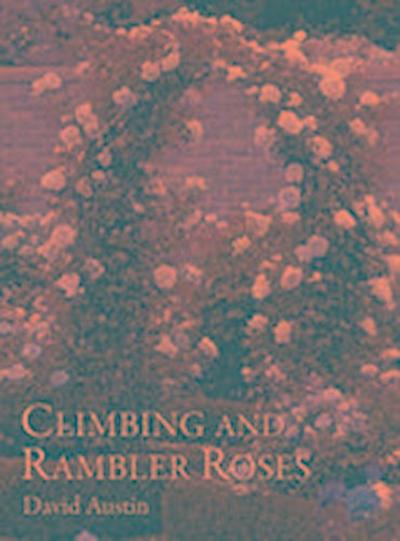 Climbing and Rambler Roses