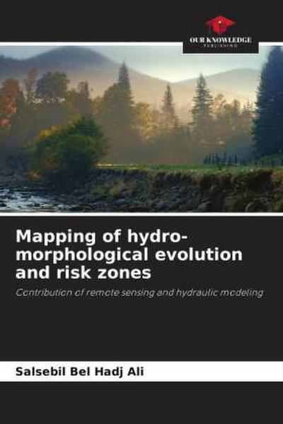 Mapping of hydro-morphological evolution and risk zones