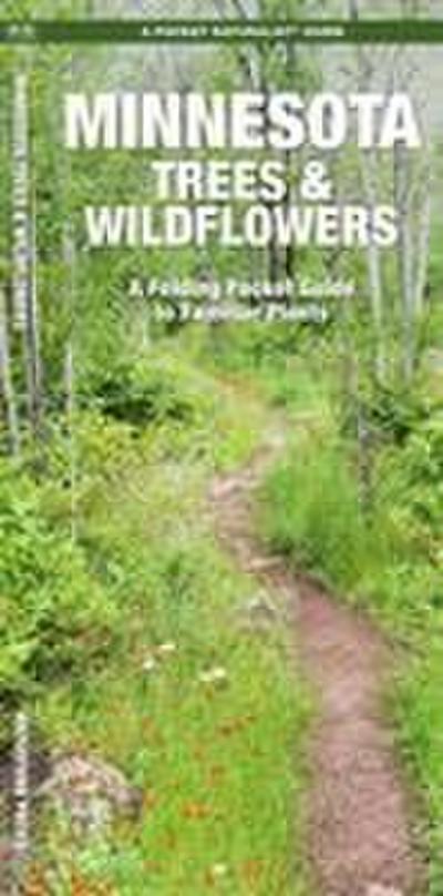 Minnesota Trees & Wildflowers