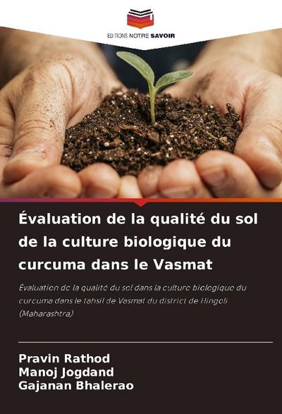 Évaluation de la qualité du sol de la culture biologique du curcuma dans le Vasmat