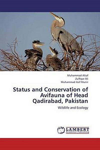 Status and Conservation of Avifauna of Head Qadirabad, Pakistan