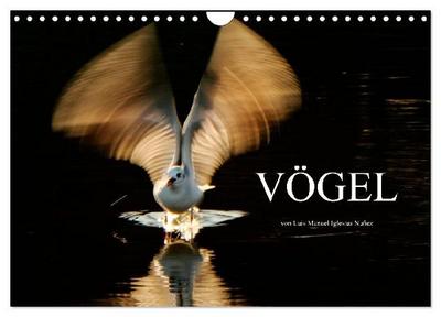 VÖGEL (Wandkalender 2027 DIN A4 quer), CALVENDO Monatskalender
