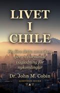 Livet i Chile: En före detta amerikan ger en varnande vägledning för nykomlingar