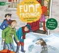 Fünf Freunde und das Weihnachtsgeheimnis