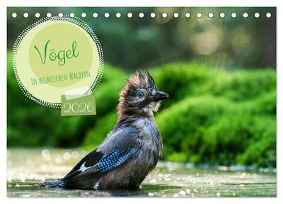 Vögel in heimischen Wäldern (Tischkalender 2026 DIN A5 quer), CALVENDO Monatskalender