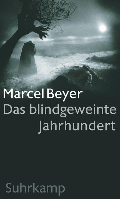 Beyer, M: Das blindgeweinte Jahrhundert
