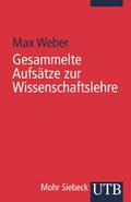 Gesammelte Aufsätze zur Wissenschaftslehre
