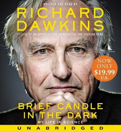 Brief Candle in the Dark