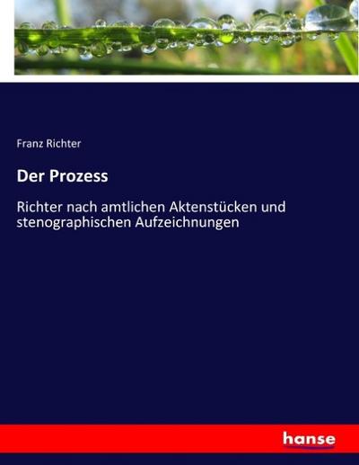 Der Prozess