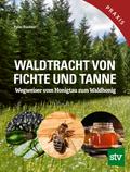 Waldtracht von Fichte und Tanne