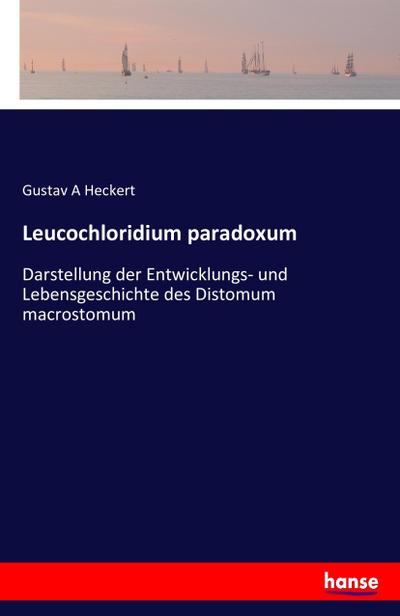Leucochloridium paradoxum