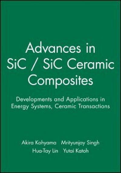 Advances in SiC / SiC Ceramic Composites