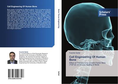 Cell Engineering Of Human Bone