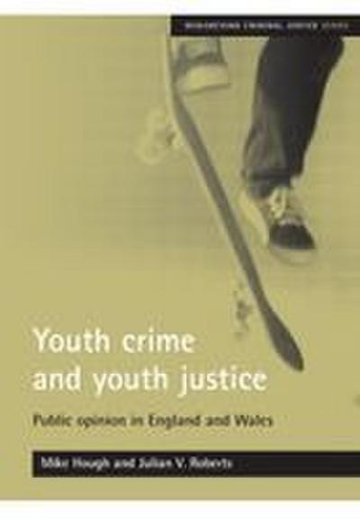 Youth crime and youth justice