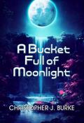 A Bucket Full of Moonlight