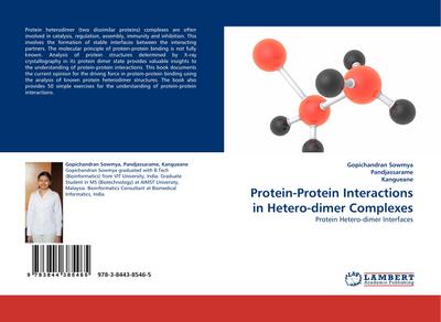 Protein-Protein Interactions in Hetero-dimer Complexes