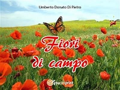 Fiori di campo