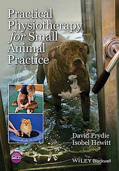 Practical Physiotherapy for Small Animal Practice