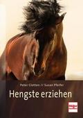 Hengste erziehen