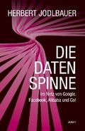 Die Datenspinne