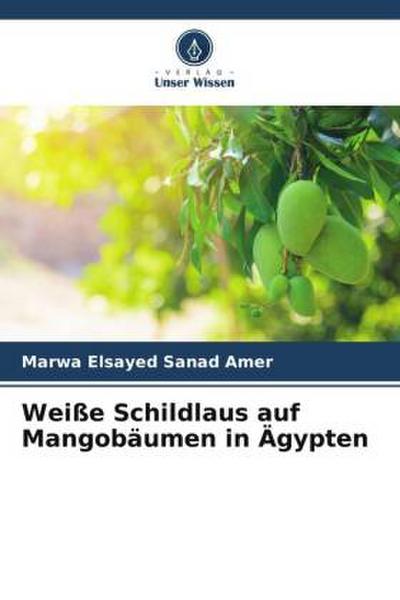 Weiße Schildlaus auf Mangobäumen in Ägypten