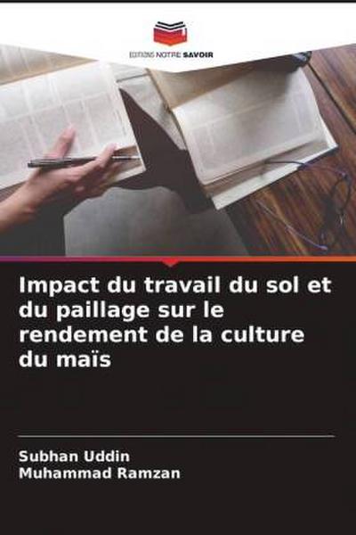 Impact du travail du sol et du paillage sur le rendement de la culture du maïs