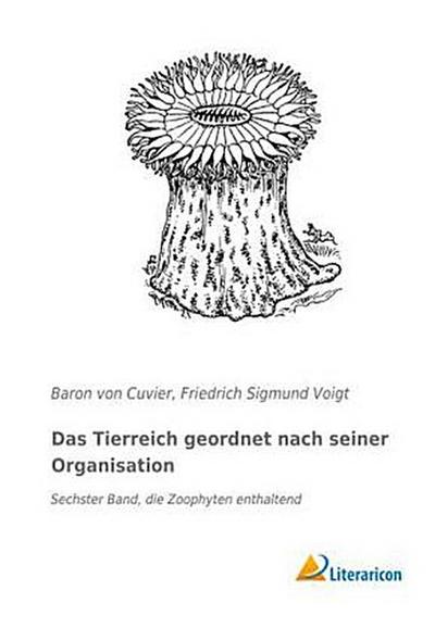 Das Tierreich geordnet nach seiner Organisation