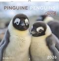 Pinguine 2026