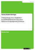 Überprüfung einer möglichen Geschäftsfelderweiterung eines Elektroversorgungsunternehmens