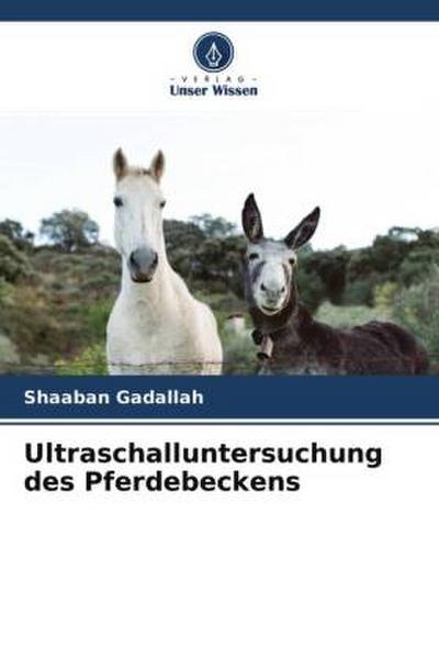 Ultraschalluntersuchung des Pferdebeckens
