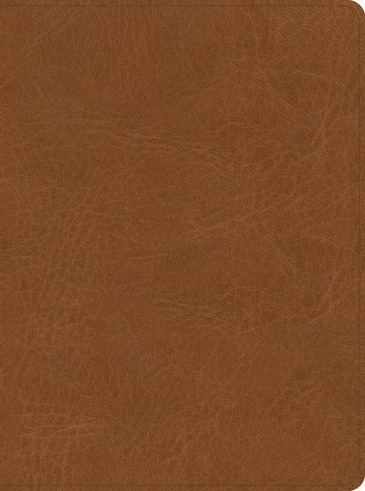 CSB He Reads Truth Bible, Saddle Leathertouch, Indexed