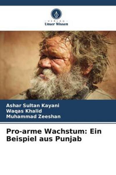 Pro-arme Wachstum: Ein Beispiel aus Punjab