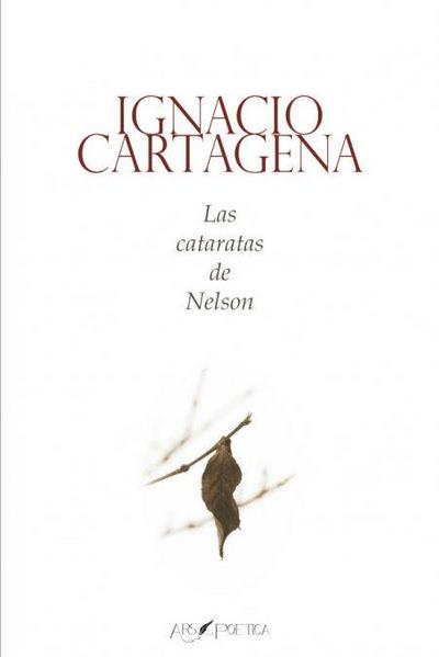 Las cataratas de Nelson