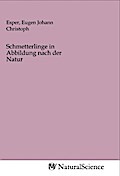 Schmetterlinge in Abbildung nach der Natur