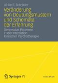 Veränderung von Deutungsmustern und Schemata der Erfahrung