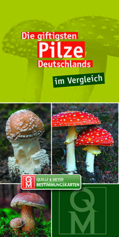 Die giftigsten Pilze Deutschlands im Vergleich