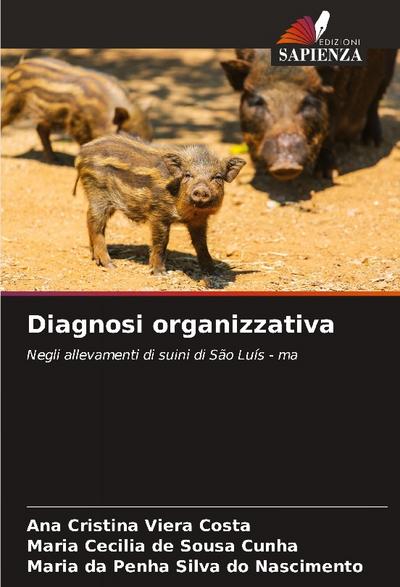 Diagnosi organizzativa