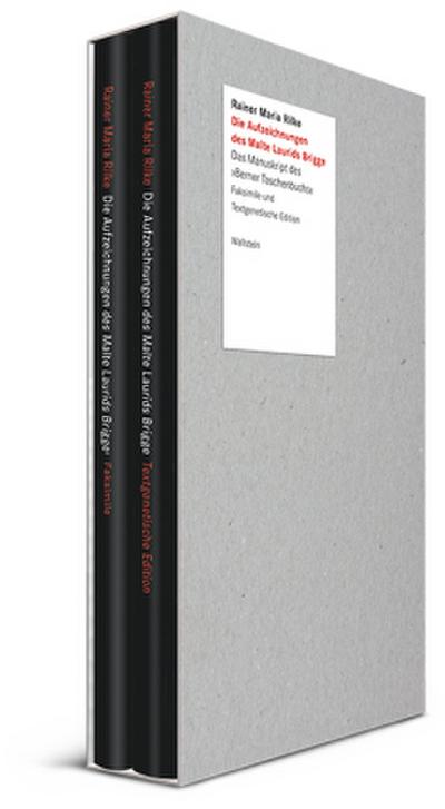 Die Aufzeichnungen des Malte Laurids Brigge